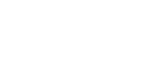 pixberry_logo_white_font_white